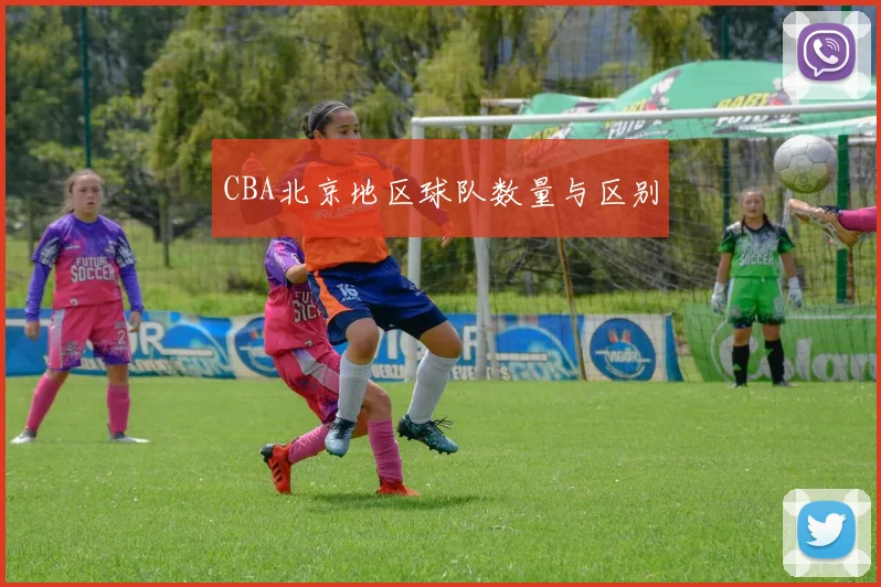 CBA北京地区球队数量与区别